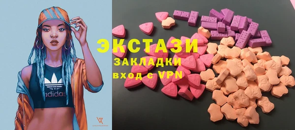 крисы Богородицк