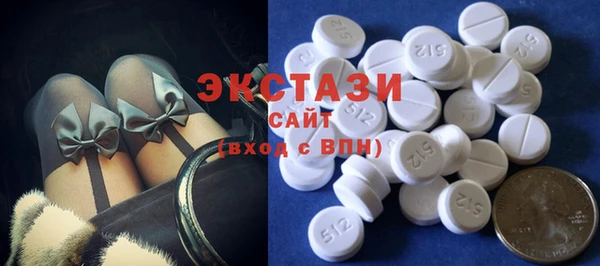 крисы Богородицк