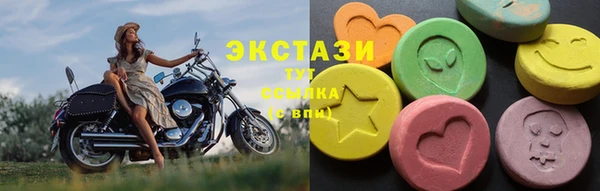 крисы Богородицк