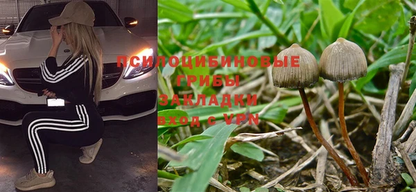 ALPHA-PVP Богданович