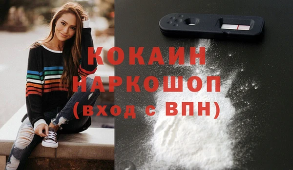 крисы Богородицк
