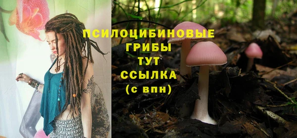 крисы Богородицк
