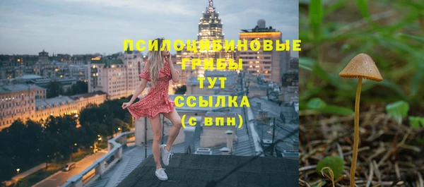 мдма Богородск