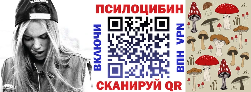 omg   Игра  Псилоцибиновые грибы Cubensis 